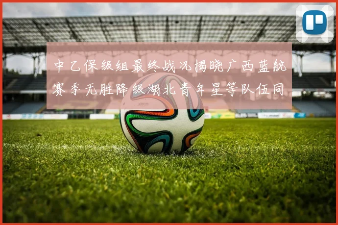 中乙保级组最终战况揭晓广西蓝航赛季无胜降级湖北青年星等队伍同遭降级
