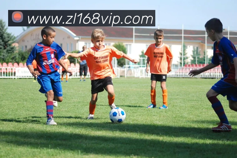 尊龙娱乐发展历程